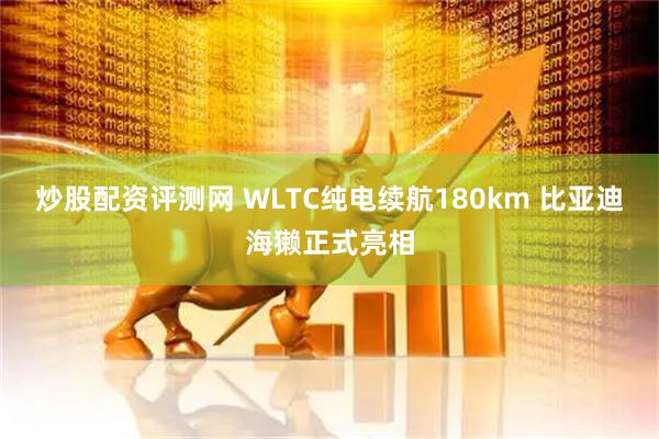 炒股配资评测网 WLTC纯电续航180km 比亚迪海獭正式亮相
