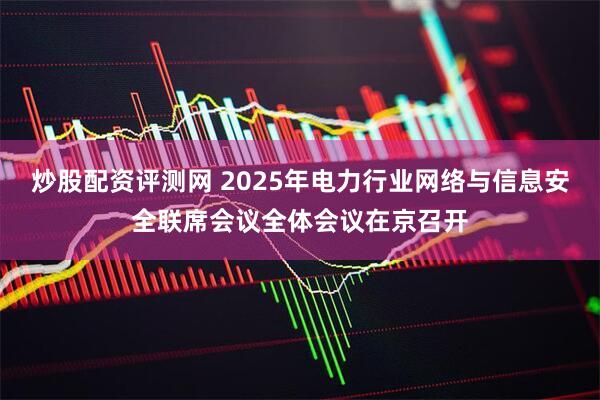 炒股配资评测网 2025年电力行业网络与信息安全联席会议全体会议在京召开